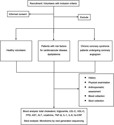 Exploring of gut microbiota features in dyslipidemia and chronic coronary syndrome patients undergoing coronary angiography